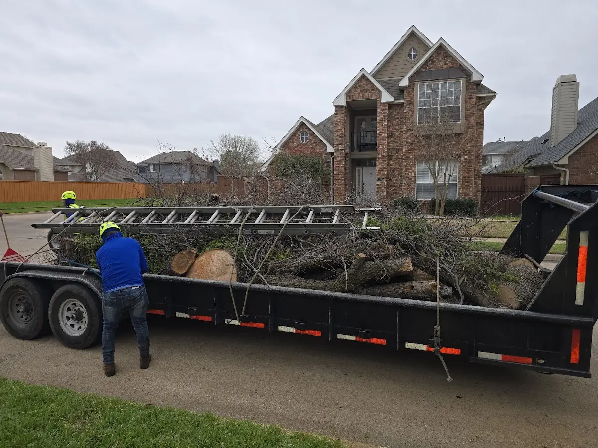 Expert Crown Reduction with proper safety equipment in Laurel